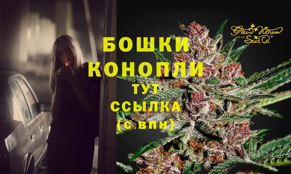метадон Горняк