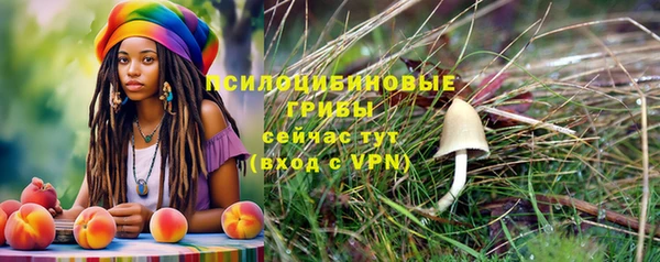 mdpv Горнозаводск