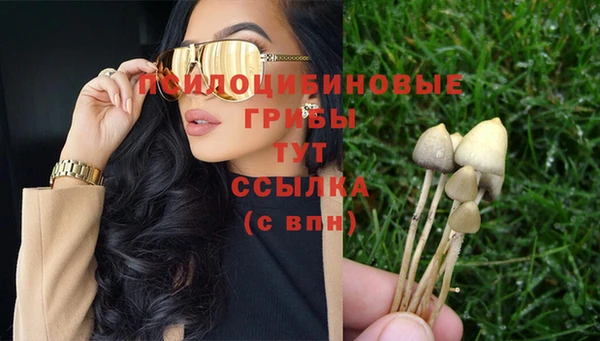 каннабис Гусев