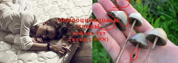 тгк Волоколамск