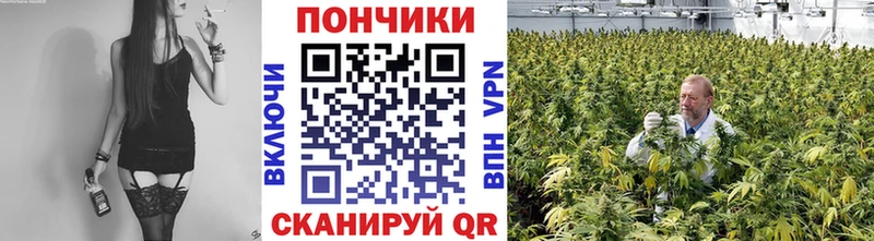 Бошки марихуана конопля Западная Двина